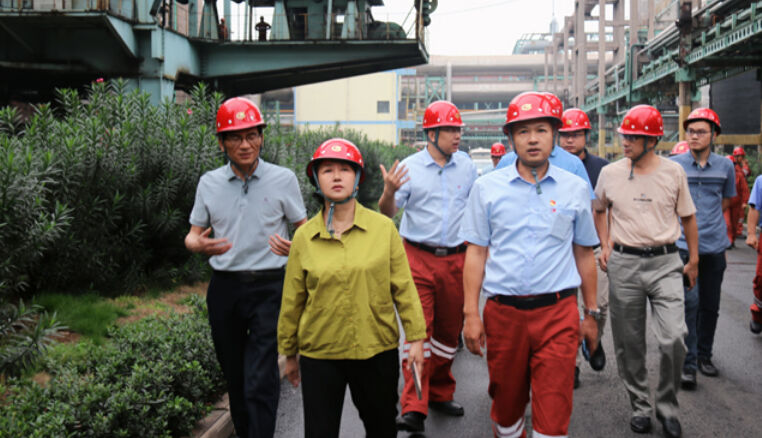 The third environmental protection supervision team of the province conducted an on-site inspection at Liansteel.