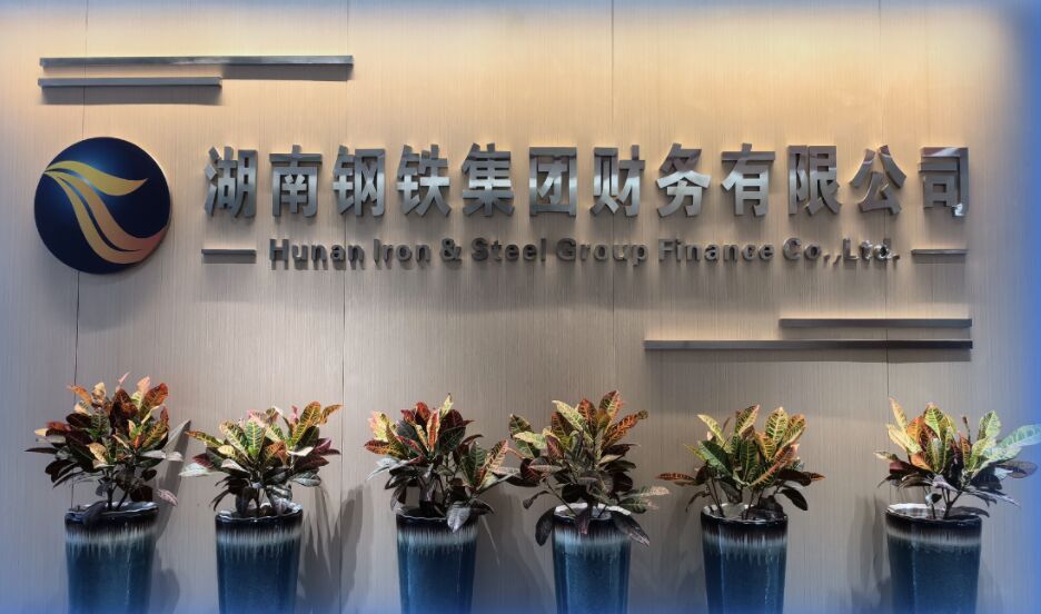 Hunan Iron & Steel Group Finance Company