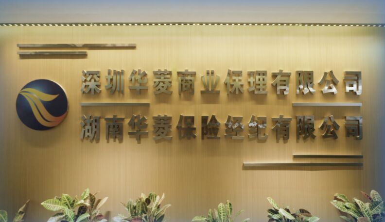 Shenzhen Valin Commercial Factoring Co., Ltd