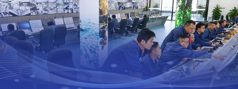 Compound skill Talent Pool for Digital Intelligent Project Delivery
